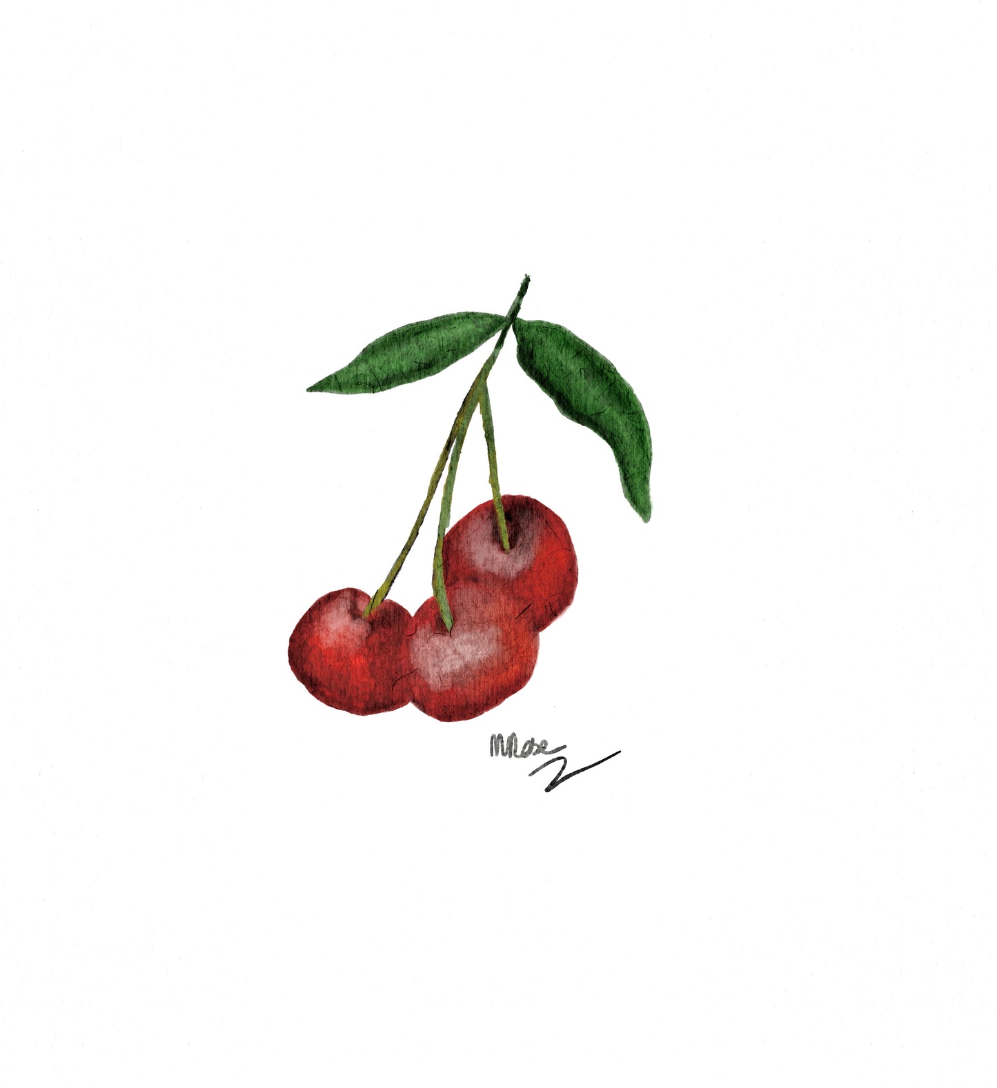 5” x 7”  Cherry Art Print